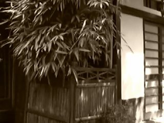 XHamster Video - Aoba Ito Full Movie Free Japan Porn Video 7f Xhamster